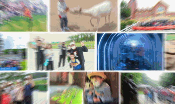 動(dòng)圖備用1.gif